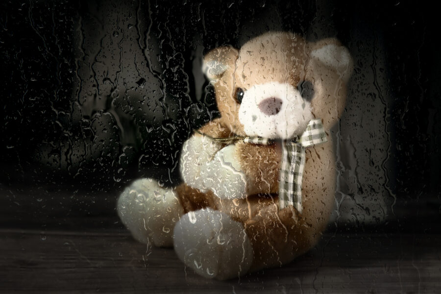 Urso da memória: o amparo psicológico no luto materno